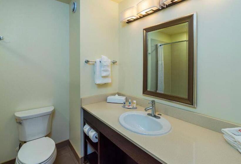 Люкс Кровать Кинг, Comfort Inn & Suites