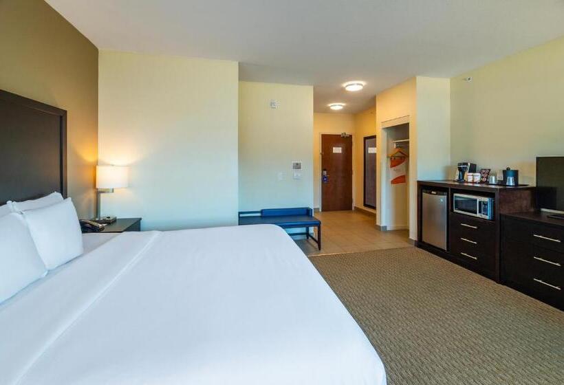 Номер Стандарт Кровать Кинг Адаптированный для Инвалидов, Comfort Inn & Suites