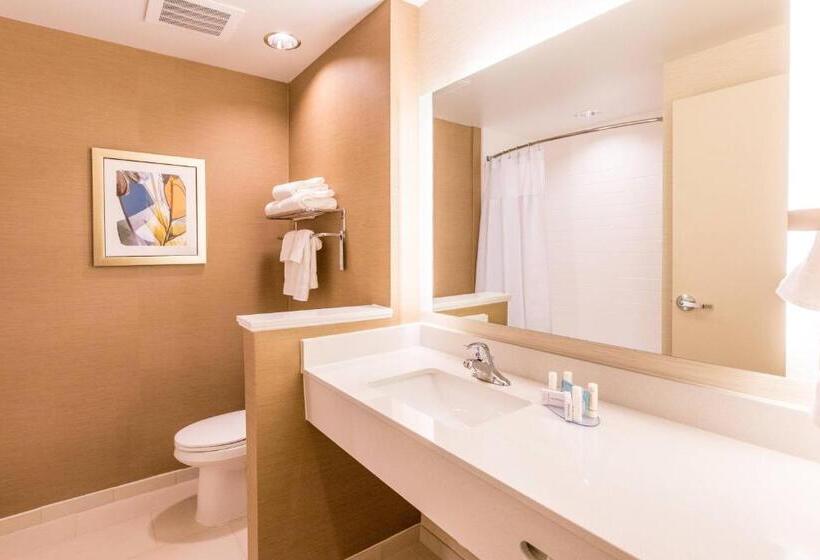 Номер Deluxe, Fairfield Inn & Suites By Marriott Atlanta Acworth