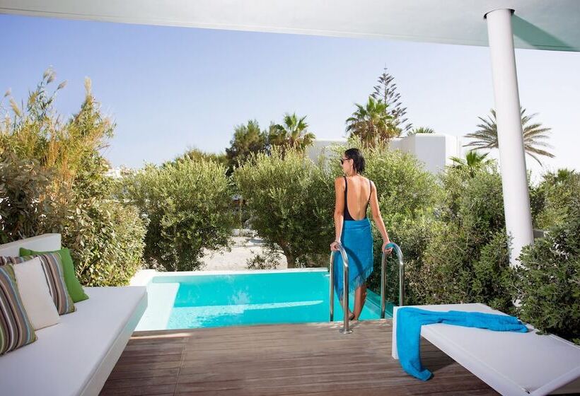 سوییت با استخر, Mykonos Dove Beachfront