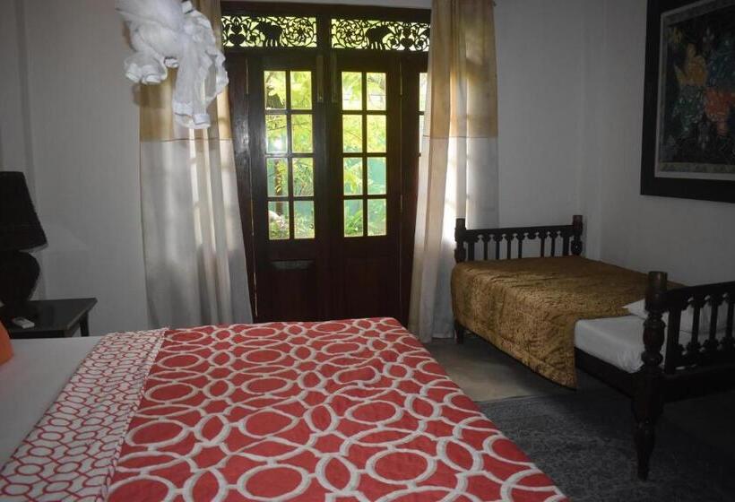 豪华三人间, Andy Homestay Units