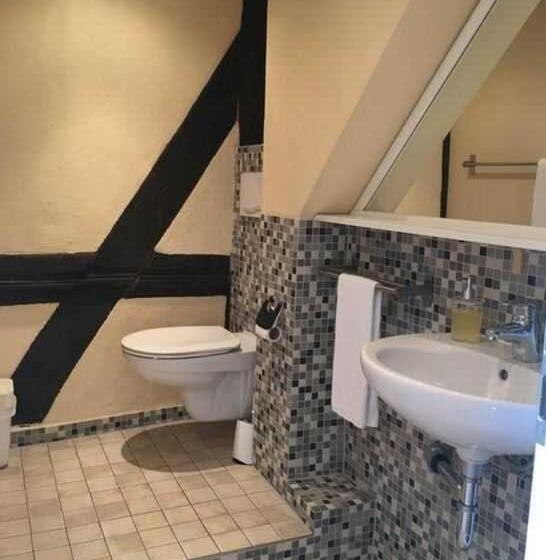 Номер Стандарт Индивидуальный, Fachwerk Hotel Eisenbart