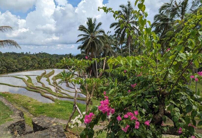 Вилла 2 Спальни, Puri Dajuma Terrace Eco Lodge & Spa