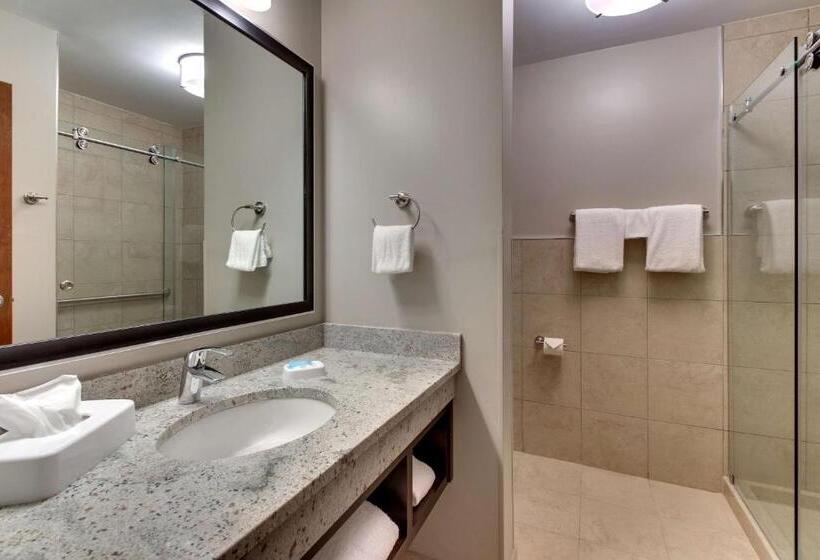 Стандартный Номер Кровать Кинг, Drury Plaza Hotel Cincinnati Florence