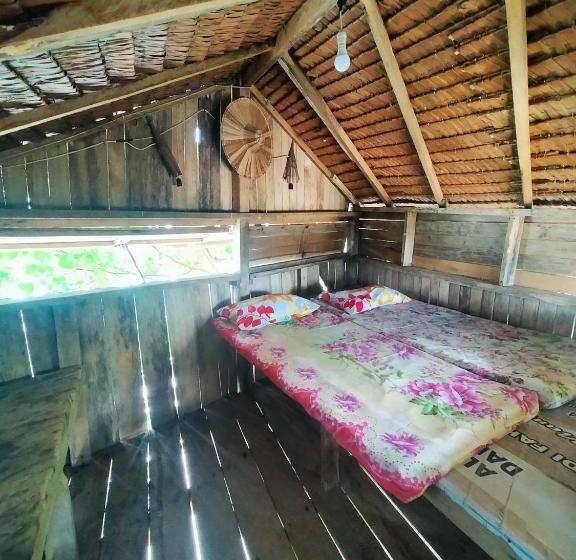 이코노미 룸, Pamutusan Island