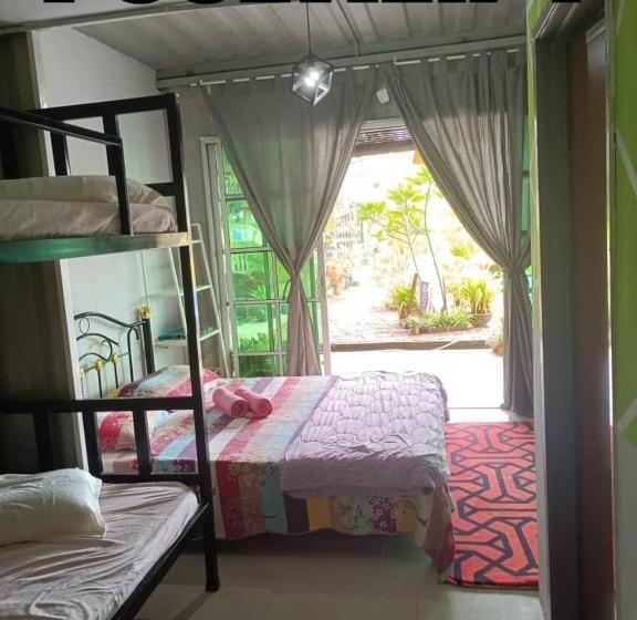 Четырехместный Номер Deluxe, Dangau Sala D Kontena