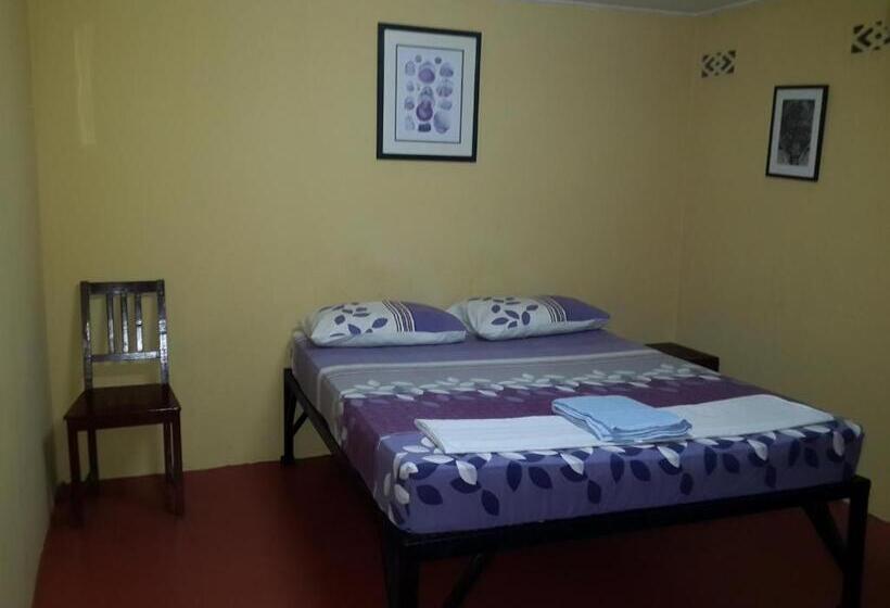 اتاق استاندارد با سرویس بهداشتی مشترک, Gecko Guesthouse