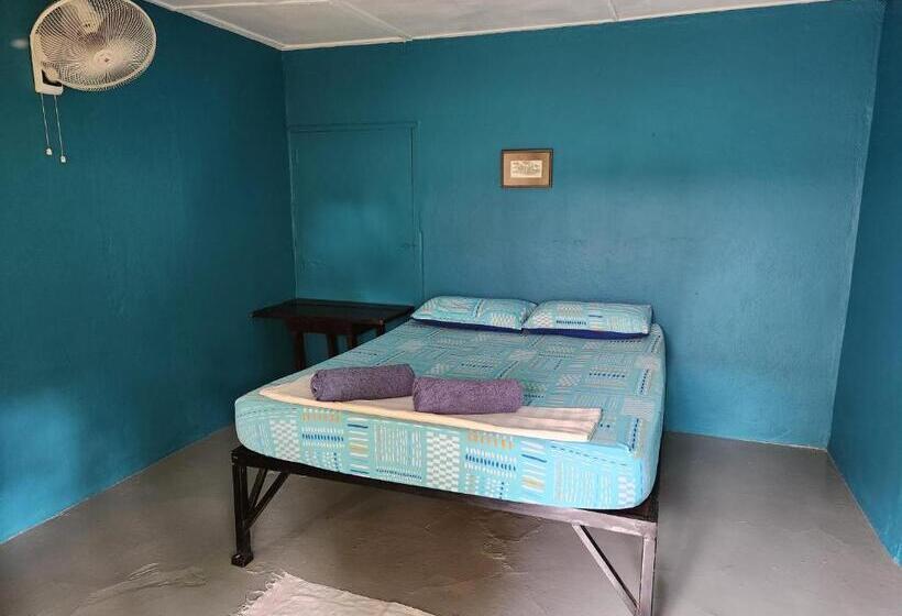 غرفة قياسية حمام مشترك, Gecko Guesthouse