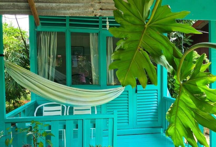 اتاق استاندارد با چشم‌انداز باغ, Gecko Guesthouse