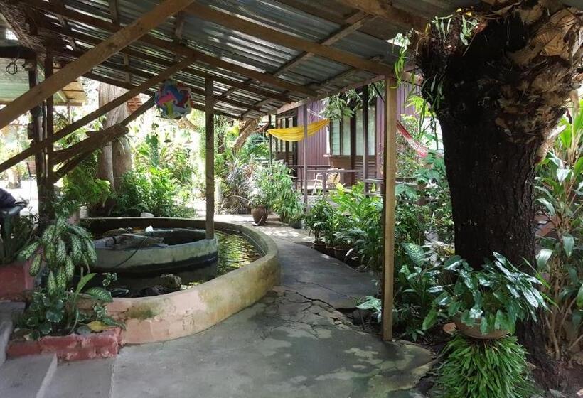 اتاق استاندارد با چشم‌انداز باغ, Gecko Guesthouse