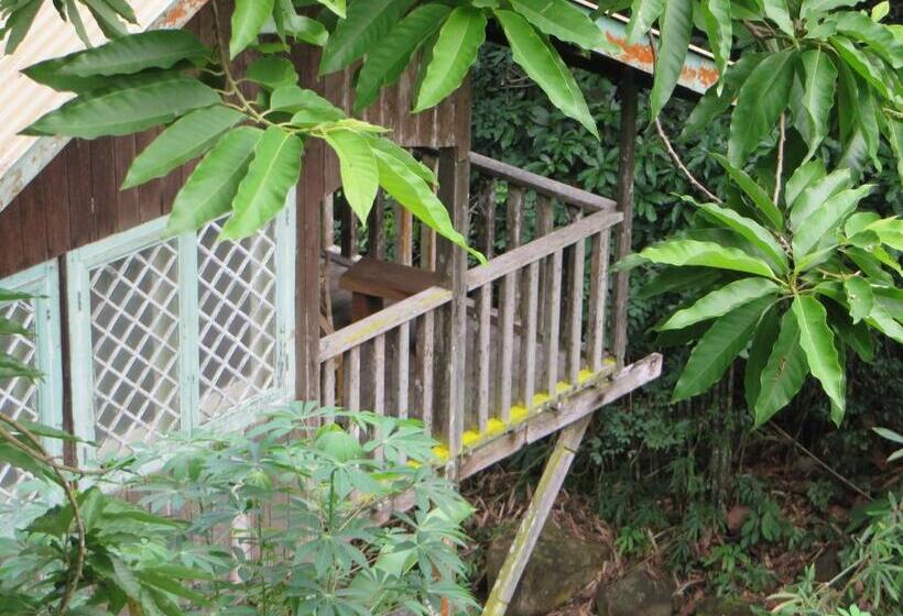Номер Стандарт Вид на Сад, Nanga Damai Homestay
