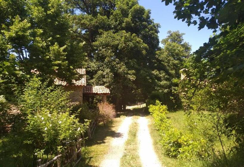 Апартаменты 1 Спальня Вид на Сад, Torre Camigliati Dimora Storica