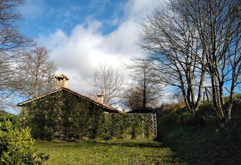 Студио Стандарт Вид на Сад, Torre Camigliati Dimora Storica