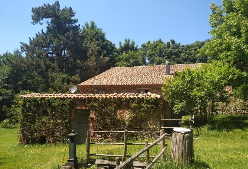 Апартаменты 1 Спальня Вид на Сад, Torre Camigliati Dimora Storica
