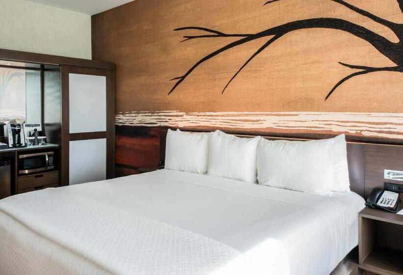 Номер Стандарт Кровать Кинг Адаптированный для Инвалидов, Cambria Hotel Mcallen Convention Center