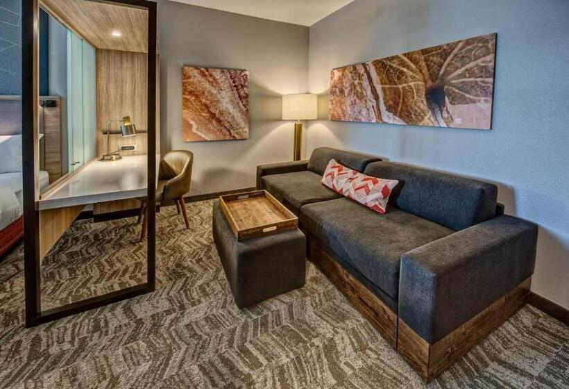 Люкс, Springhill Suites By Marriott Amarillo