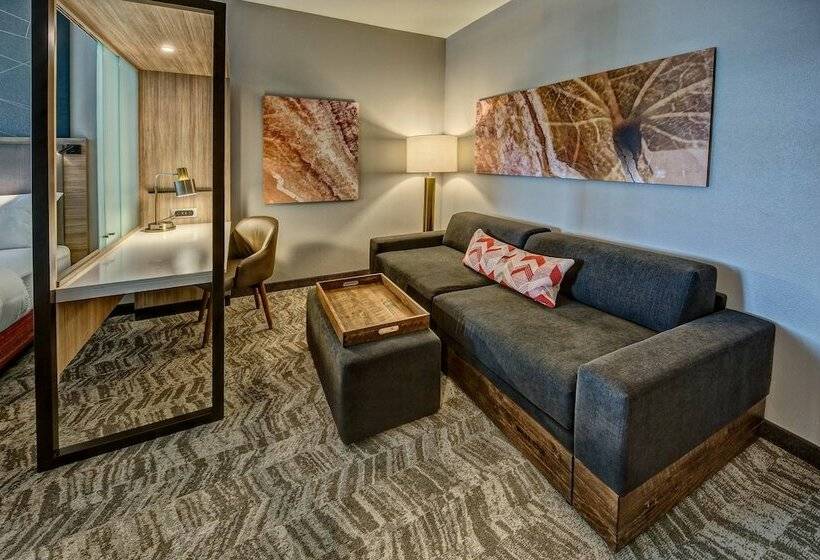 Люкс, Springhill Suites By Marriott Amarillo