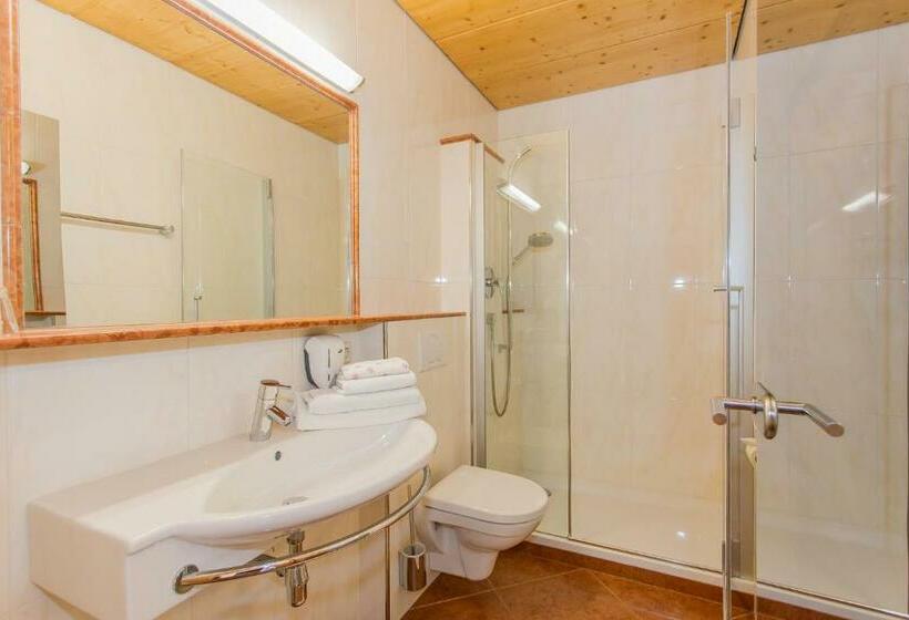 Четырехместный Номер Стандарт, Hettlerhof