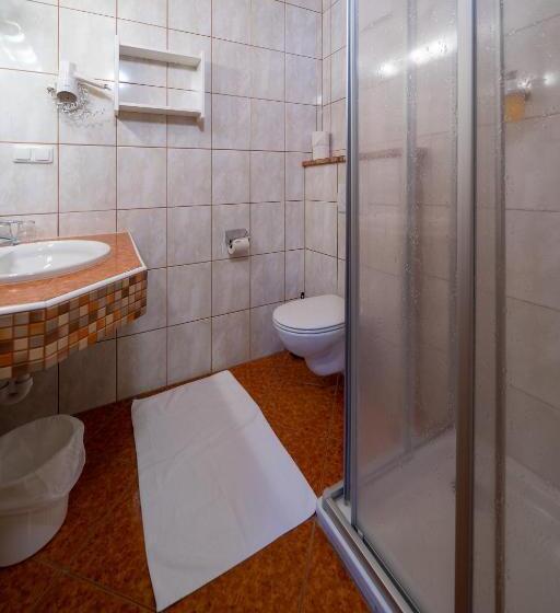 Comfort room with balcony, Tischlbergerhof