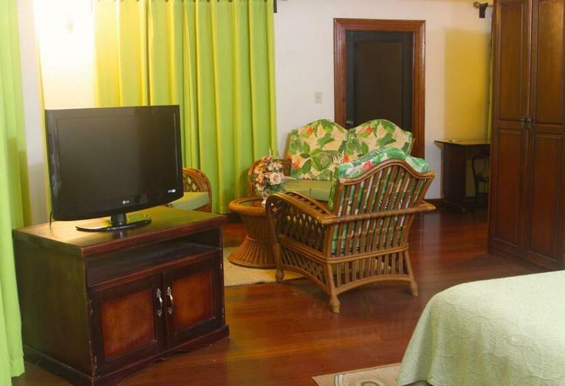 استودیو استاندارد با تخت کینگ, Brandsville