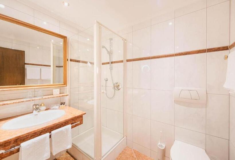 Номер Economy, Living & Spa Vitalhotel Edelweiss