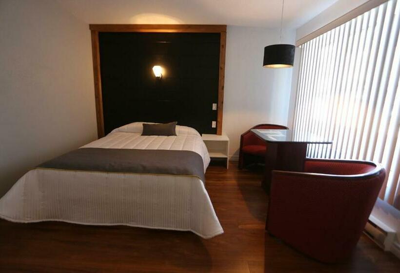 高级大房间, Motel Le Riviera