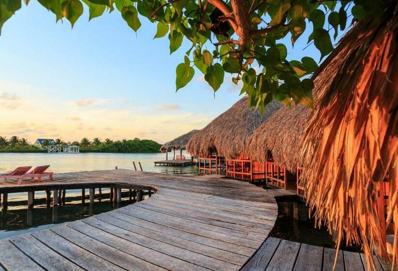 스탠다드 방갈로, St. George's Caye Resort