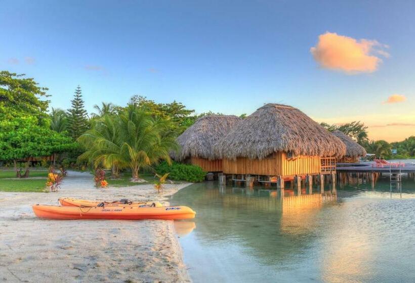 بانگلوی استاندارد, St. George's Caye Resort