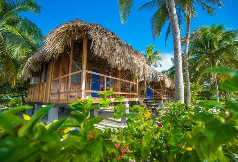 바다 전망 스탠다드 방갈로, St. George's Caye Resort