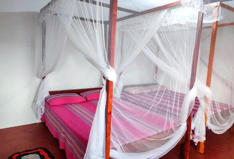 Семейный Номер, Summer House   Surf Inn