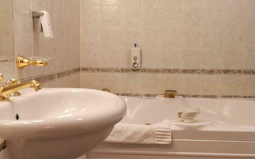 غرفة قياسية, Kastélyhotel Sasvár Resort