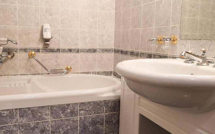 غرفة سوبيريور, Kastélyhotel Sasvár Resort