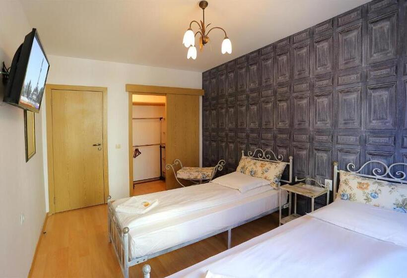 اتاق استاندارد با سرویس بهداشتی مشترک, Family Hotel Amor