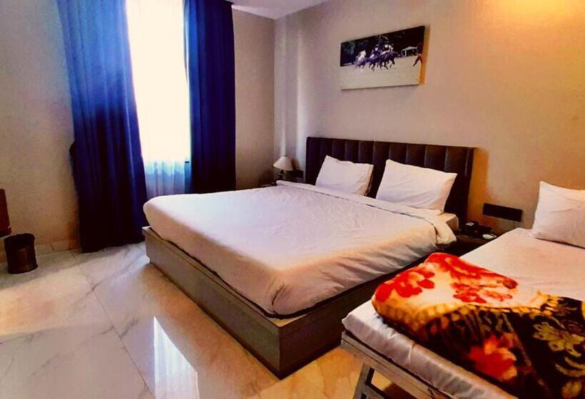 高级大房间, Tushar Group Of Hotels   Polo Inn Sez