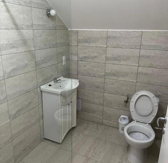 스탠다드 룸 산 전망, Pensiunea Mara Băile Botiza