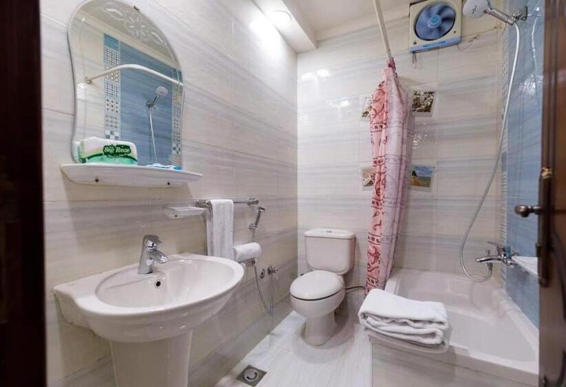 اتاق استاندارد یک نفره, Badr Hotel Assiut