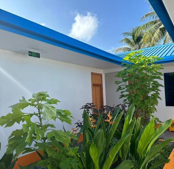 اتاق استاندارد, The Happiness Sun Suites
