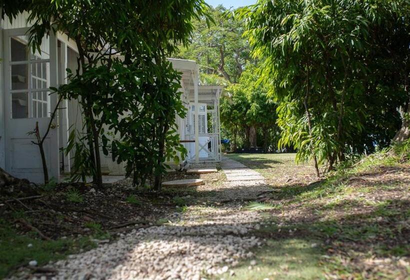 اتاق استاندارد با چشم‌انداز باغ, La Hacienda Bellevue