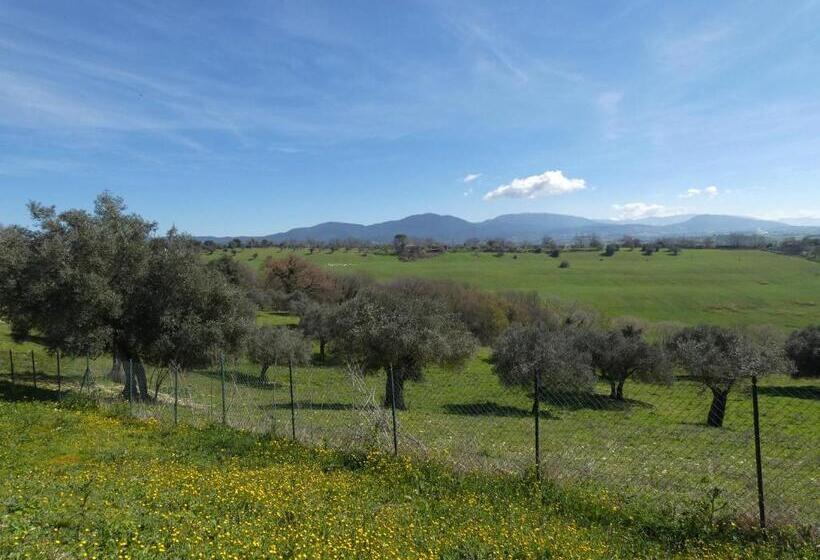 Семейный Номер, Scappo In Umbria, Collefiorito