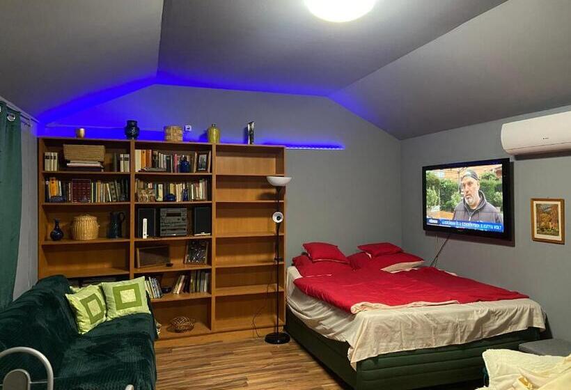 חדר סטנדרט לשלושה עם נוף לגינה, Babér Apartmanház Balatonakarattya