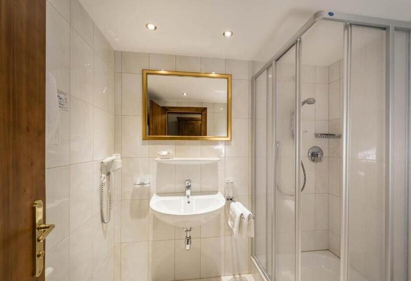 غرفة قياسية فردية, Vital Hotel Ortlerspitz