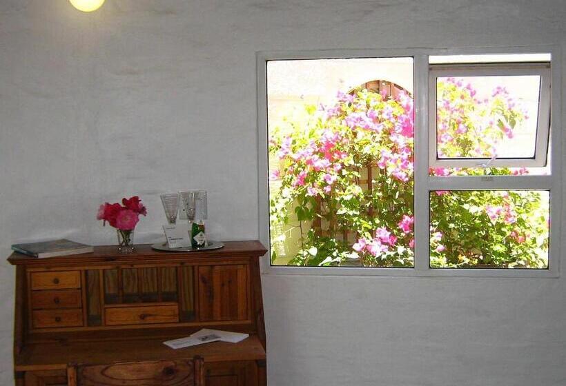 اتاق اکونومی, Alternative Space B & B