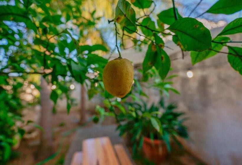 スタンダードシングルルーム, Bed And Breakfast Cairoli Exclusive Room