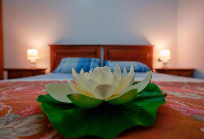 スタンダードトリプルルーム, Bed And Breakfast Cairoli Exclusive Room