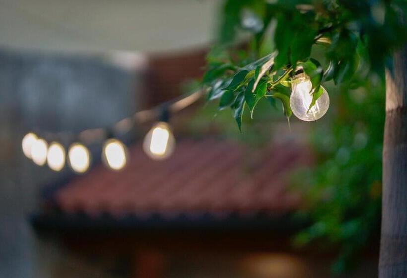 スタンダードシングルルーム, Bed And Breakfast Cairoli Exclusive Room
