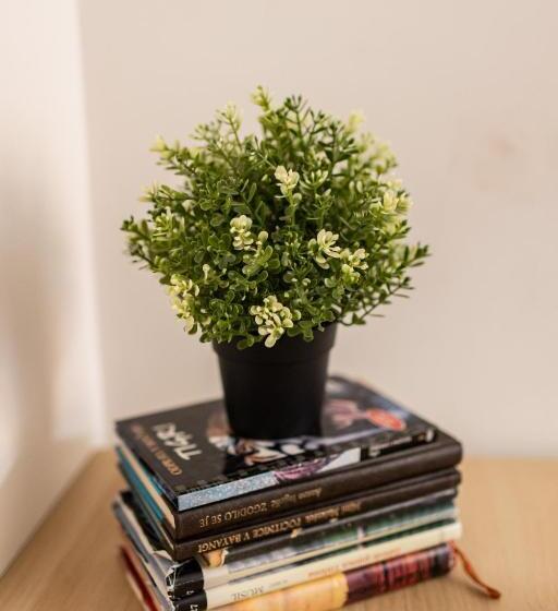 Pokój Rodzinny Wspólna Łazienka, Cukrarna Guest Accommodation