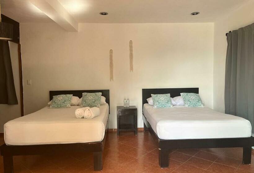 Студия Стандарт, Caracol Isla Mujeres
