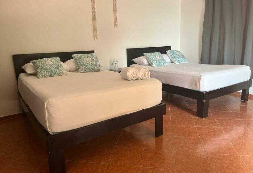 Студия Стандарт, Caracol Isla Mujeres