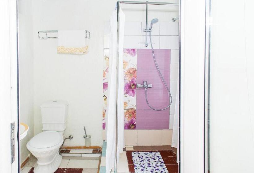 اتاق راحتی, Guest House De Rishelye