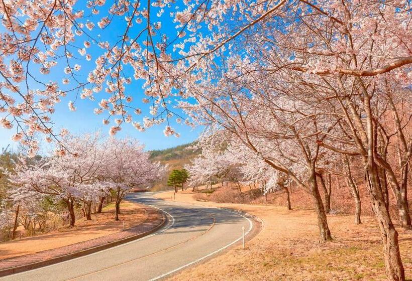 Вилла 1 Спальня, Gyeongju Mauna Ocean Resort